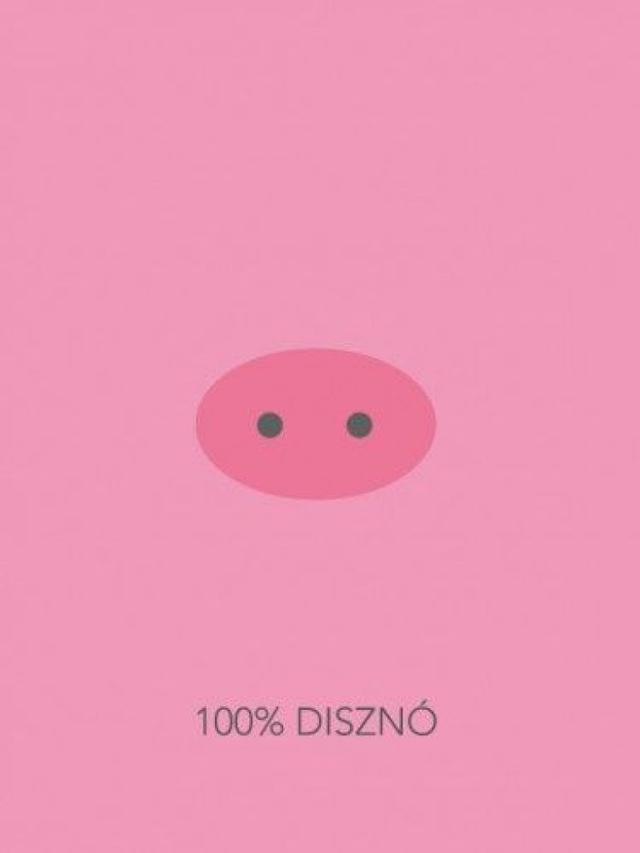 100% Disznó